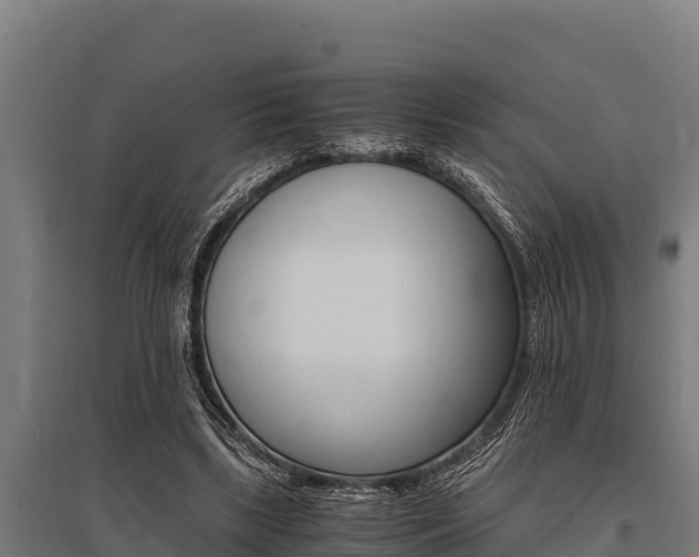 X0000096140443200801180855