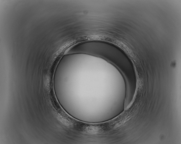X0000096140444200801180855