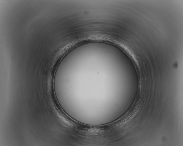 X0000096140445200801180855