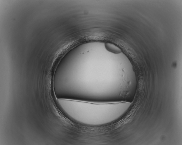 X0000096140446200801180855