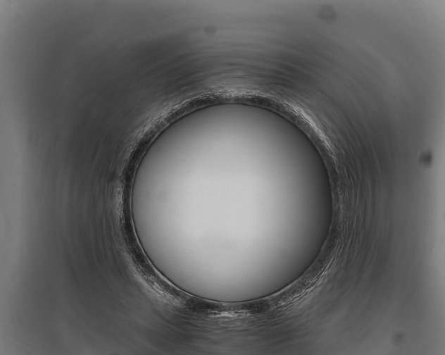 X0000096140447200801180855