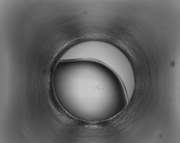 X0000096140448200801180855