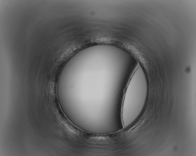 X0000096140449200801180855