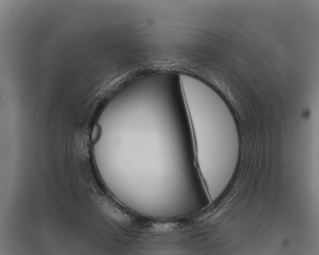 X0000096140450200801180855