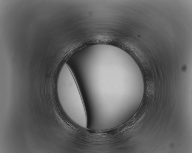 X0000096140451200801180855