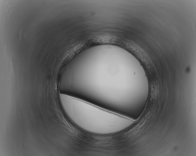 X0000096140453200801180855