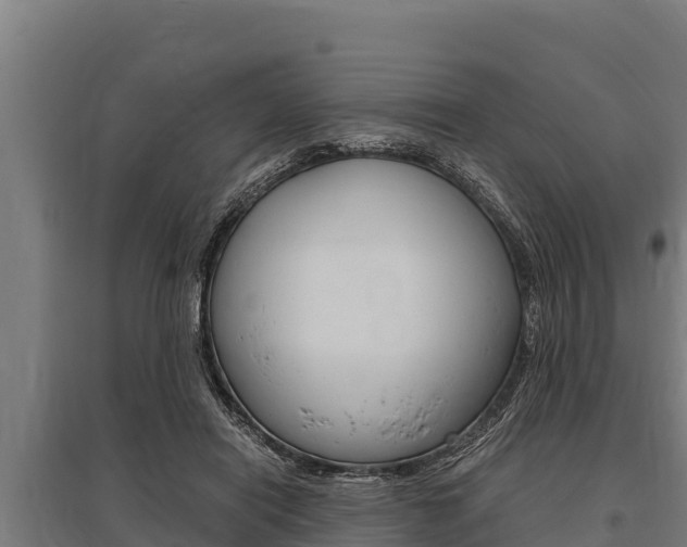 X0000096140454200801180855
