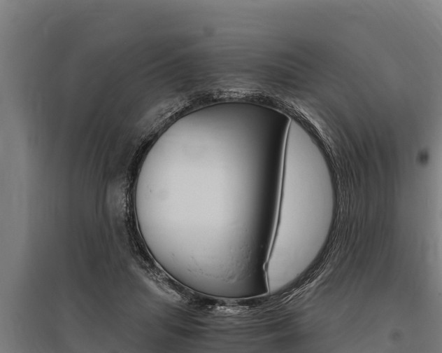 X0000096140455200801180855