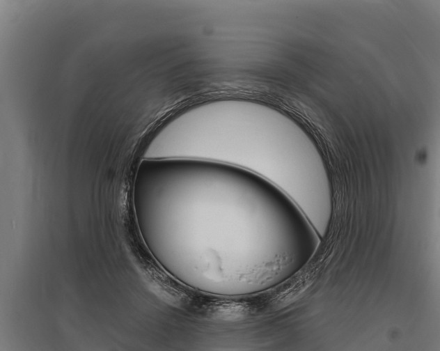 X0000096140456200801180855
