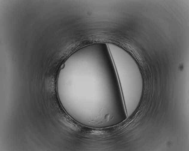 X0000096140457200801180855
