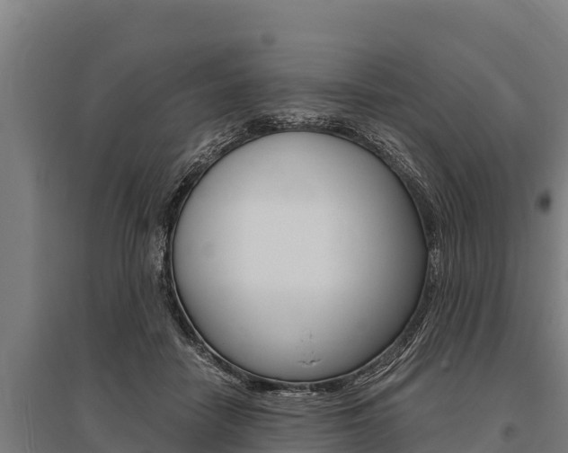 X0000096140458200801180855