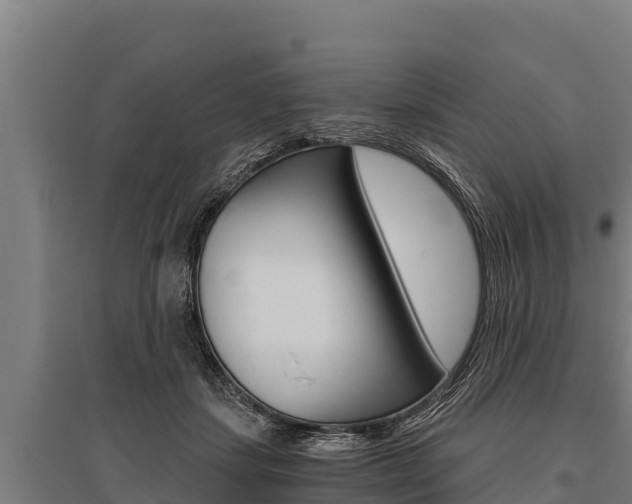 X0000096140459200801180855