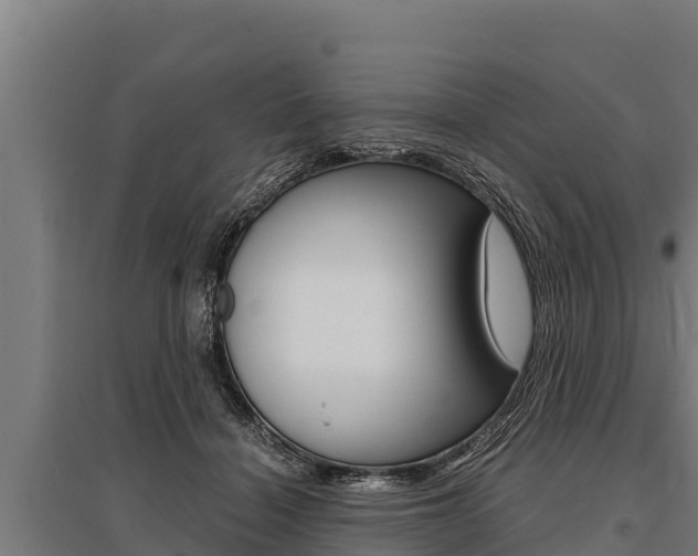 X0000096140460200801180855