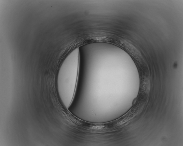 X0000096140461200801180855