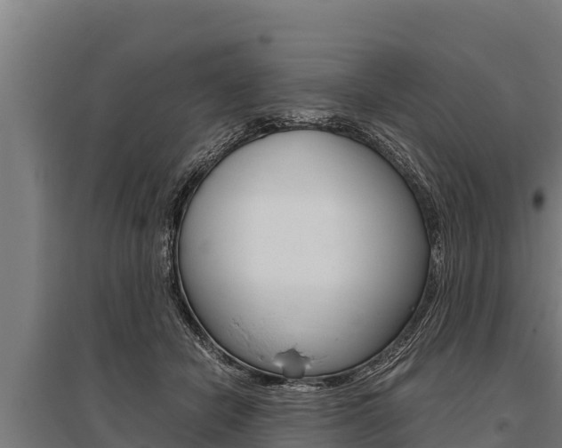 X0000096140462200801180855