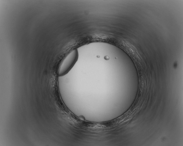 X0000096140463200801180855