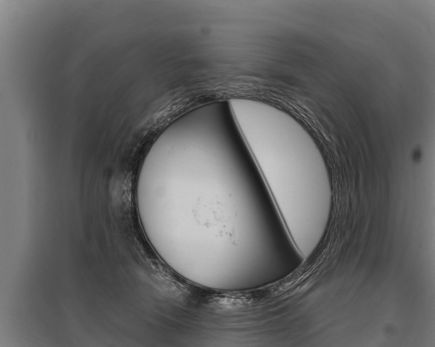 X0000096140466200801180855