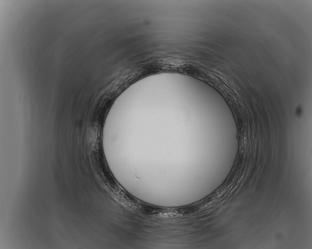 X0000096140468200801180855