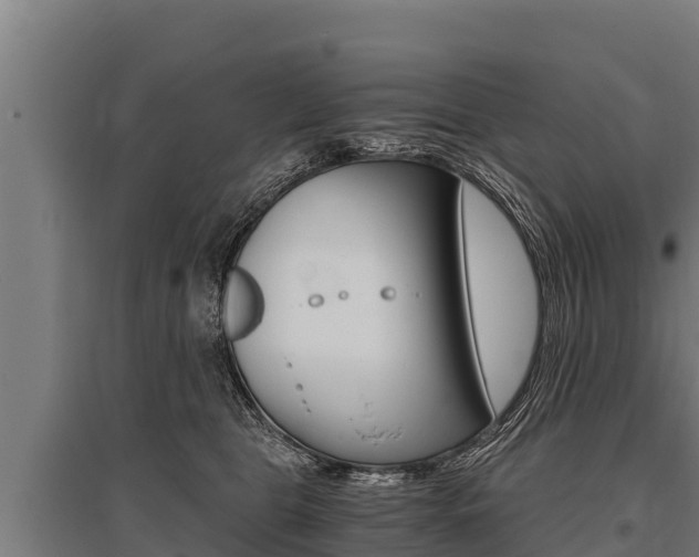 X0000096140469200801180855