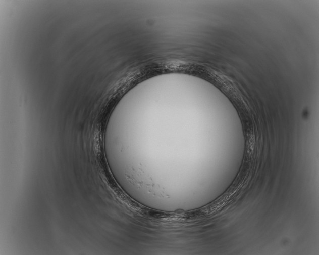 X0000096140470200801180855