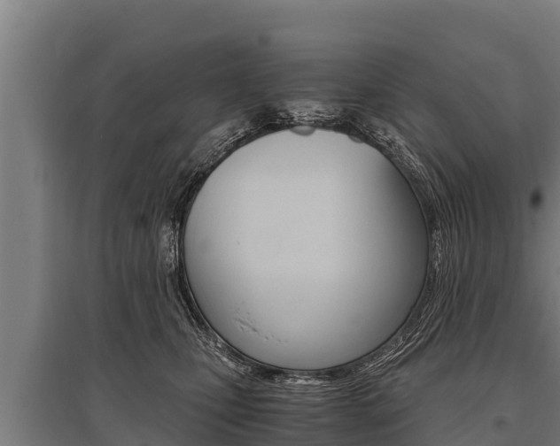 X0000096140471200801180855