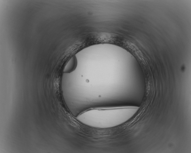 X0000096140473200801180856