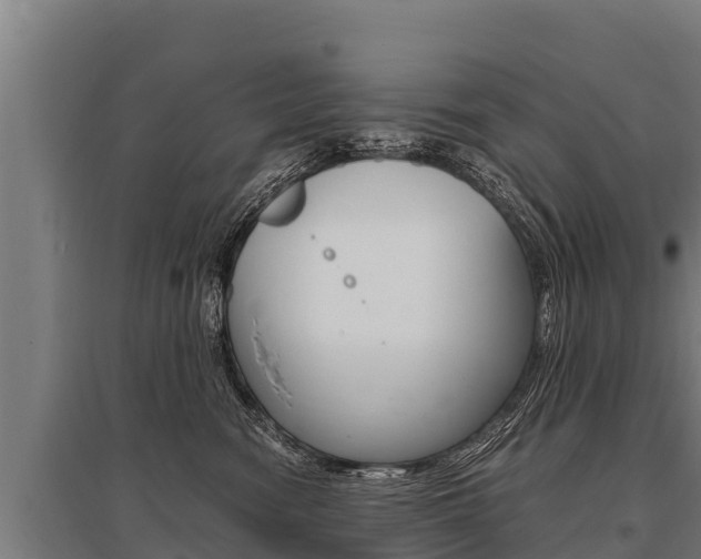X0000096140474200801180856
