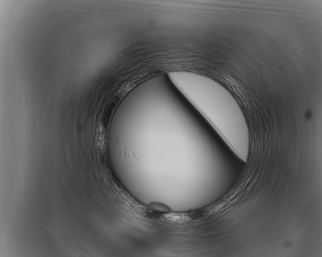 X0000096140477200801180856
