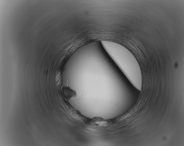 X0000096140478200801180856
