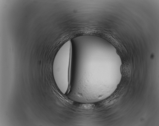 X0000096140479200801180856