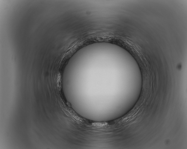 X0000096140480200801180856