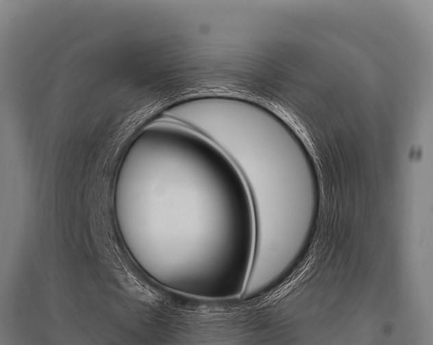 X0000096140481200801180855
