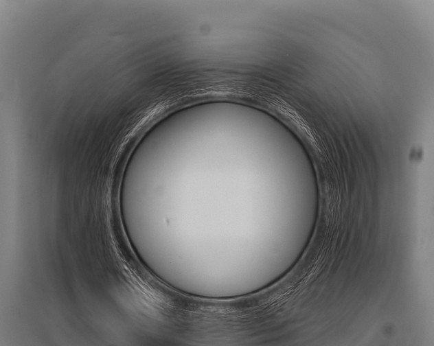 X0000096140482200801180855