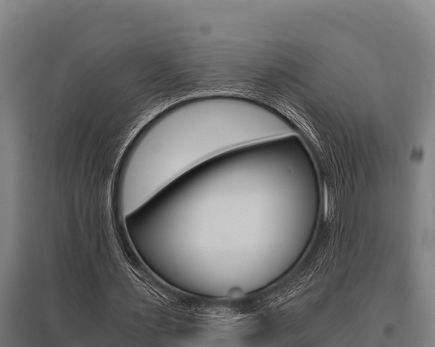 X0000096140483200801180855