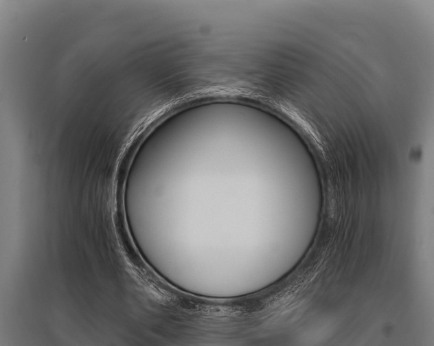X0000096140486200801180855