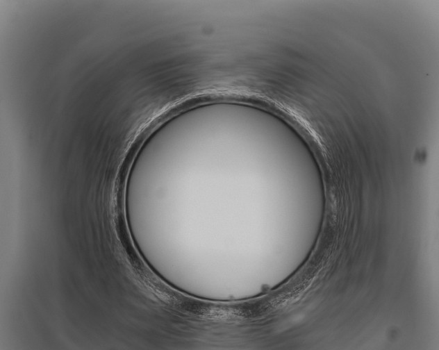 X0000096140487200801180855
