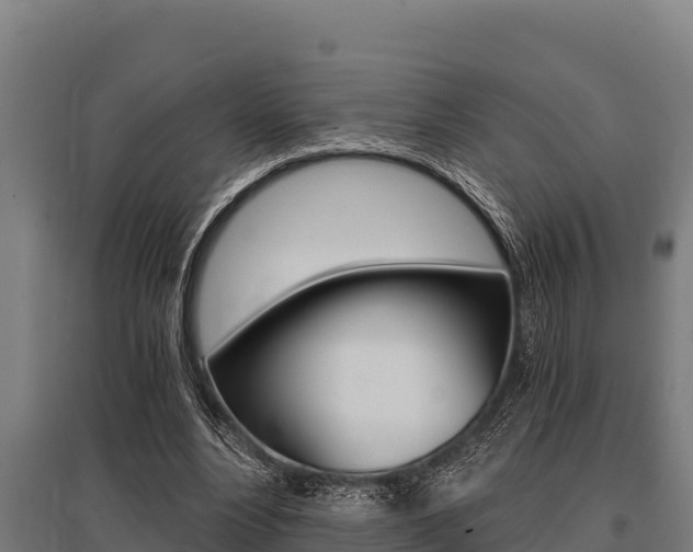 X0000096140488200801180855