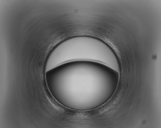 X0000096140489200801180855