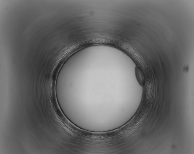 X0000096140490200801180855