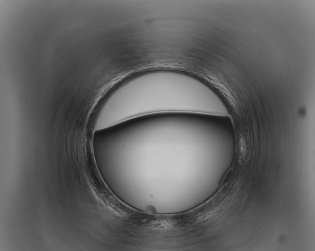 X0000096140492200801180855
