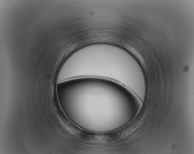 X0000096140493200801180855