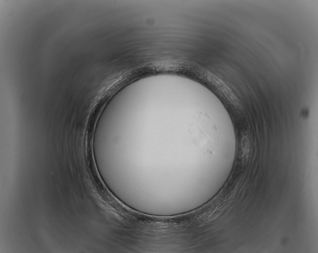 X0000096140494200801180855