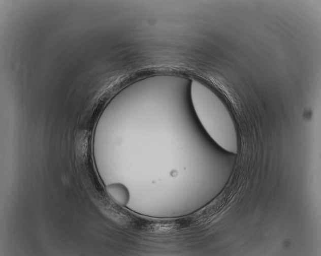 X0000096140495200801180855