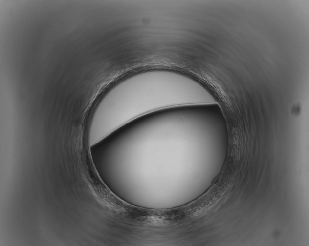 X0000096140496200801180855