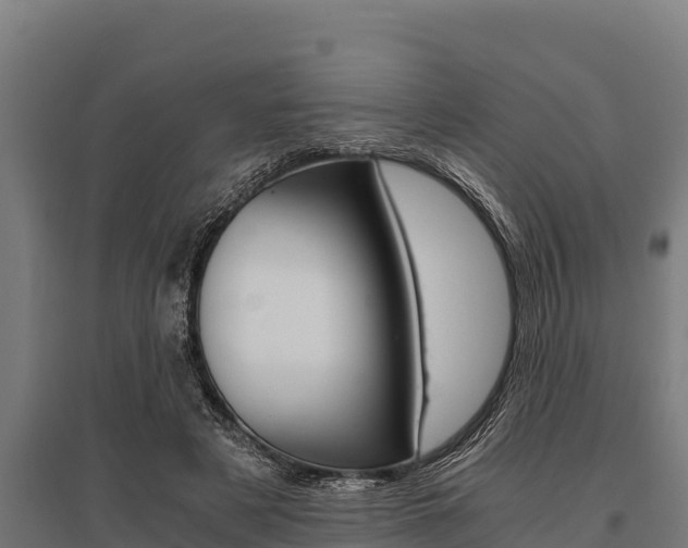 X0000096140497200801180855
