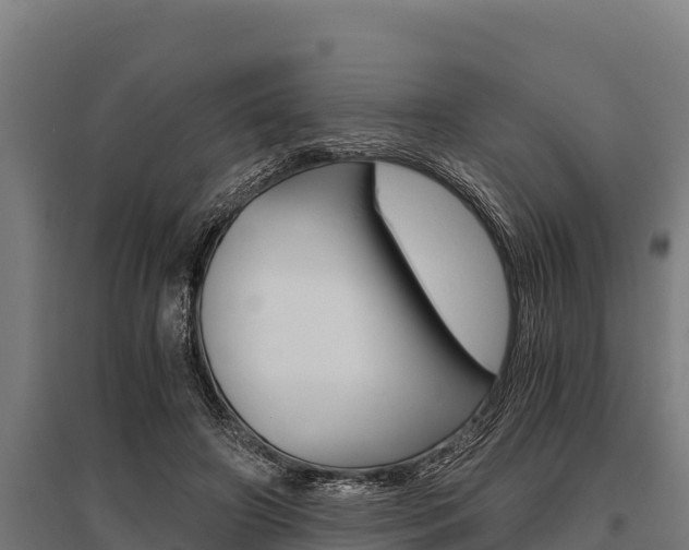 X0000096140498200801180855