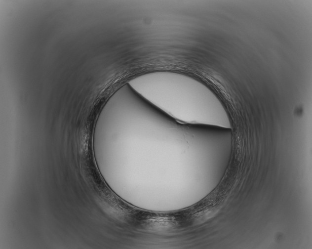 X0000096140499200801180855