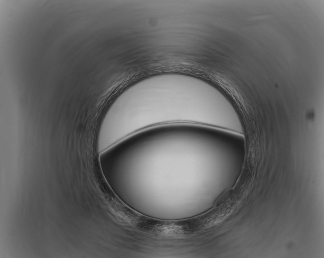 X0000096140501200801180855