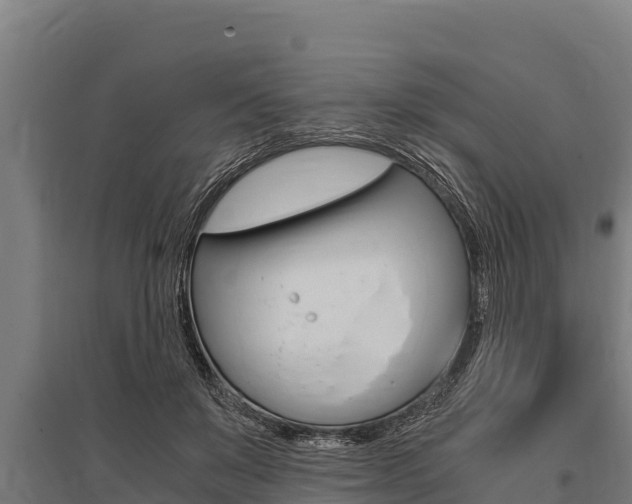 X0000096140503200801180855