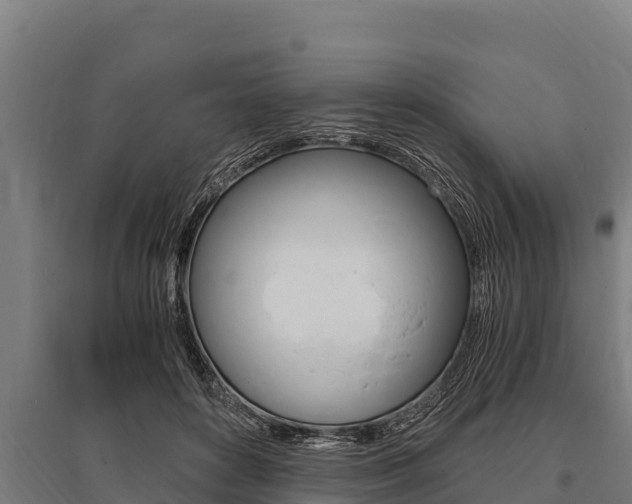 X0000096140504200801180855